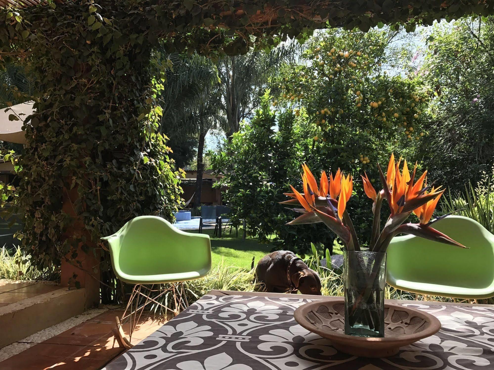 La Joya Del Viento Bed & Breakfast Valle de Bravo Luaran gambar